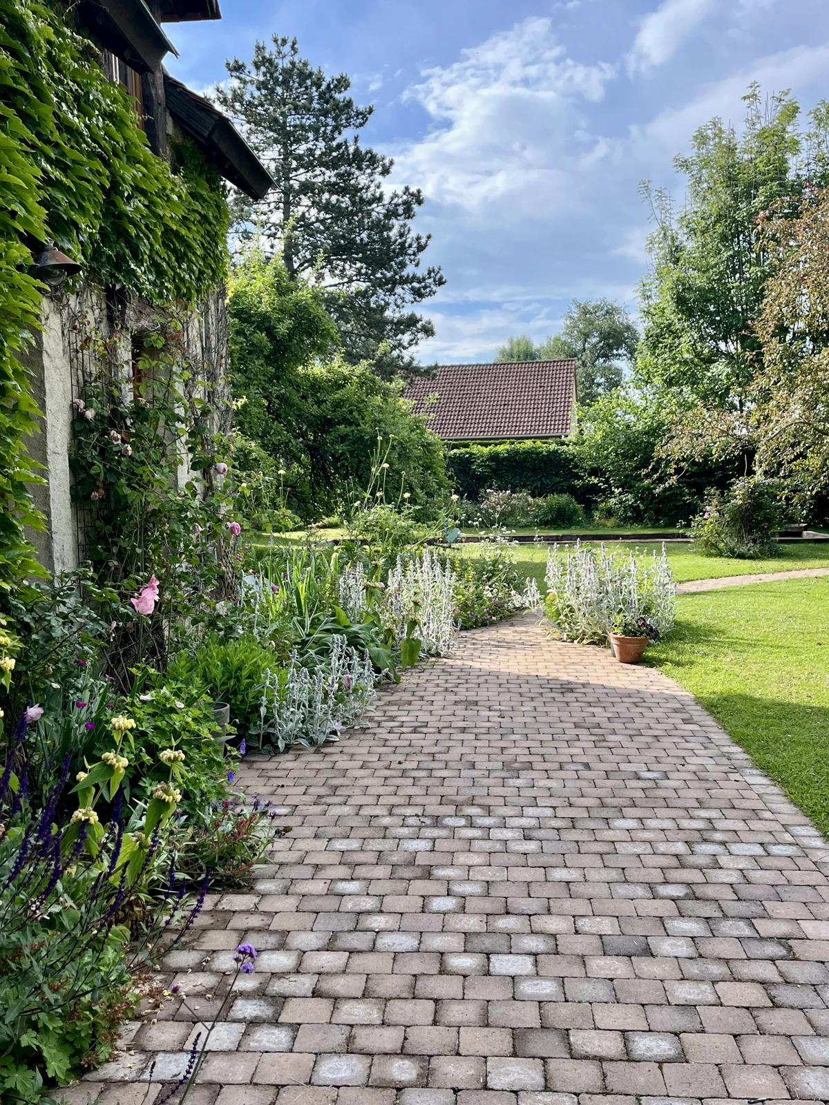 L'allée pavée de la terrasse, bordée de massifs fleuris, le long de la façade couverte de vigne vierge
