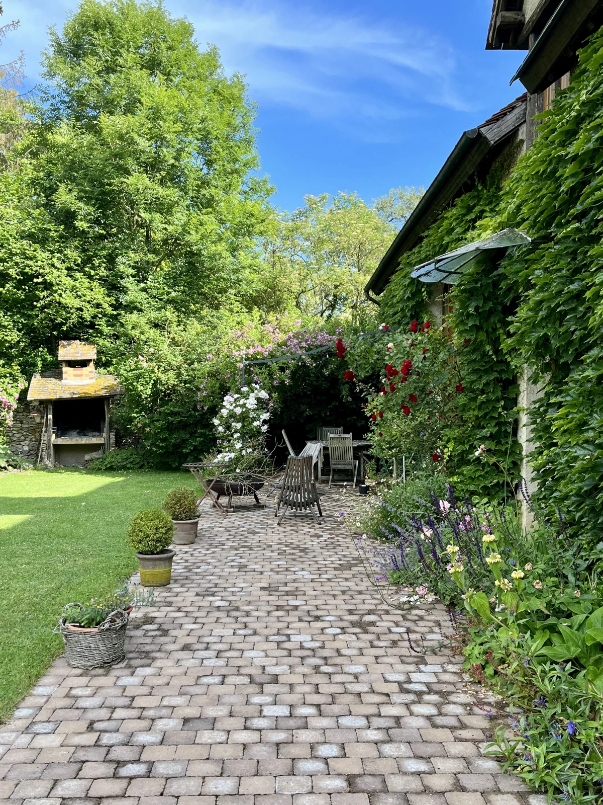 La terrasse pavée vue en longueur : barbecue en brique à gauche, pergola couverte de fleurs au fond, rosiers rouges sur la façade