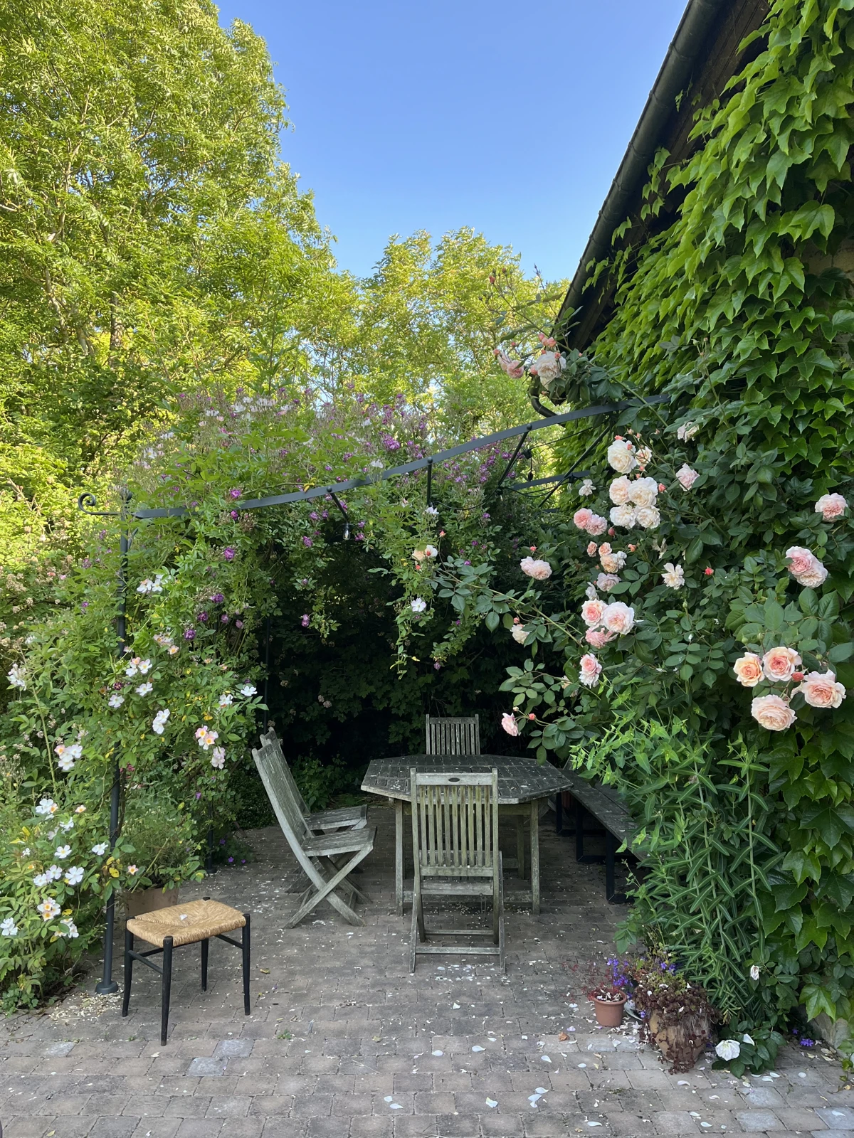 La pergola de métal noir envahie par les rosiers, table et chaises en bois patiné, tabouret paillé